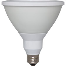 GE Lighting PAR38 LED Light Bulb