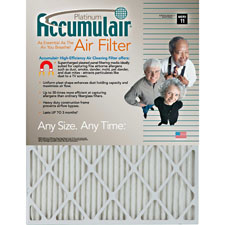 Filters-NOW.com Platinum Accumulair Air Filter