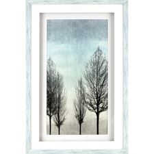 Lorell Naked Tree Shadow Box Design Framed Art