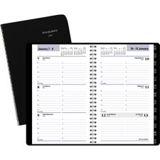 AT-A-GLANCE DayMinder Weekly Appointment Book