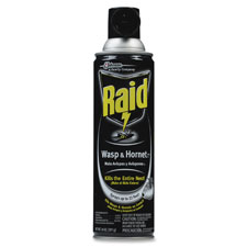 SC Johnson Raid Wasp/Hornet Bug Killer Spray