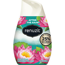 Dial Corp. Renuzit After The Rain Air Freshener
