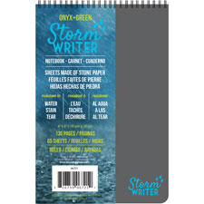 Roaring Spring Storm Writer 4"x6" Notebook