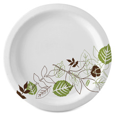 Dixie Foods Pathways Everyday Paper Plates