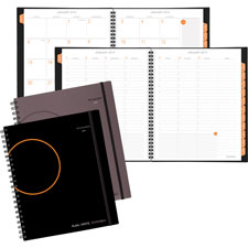 At-A-Glance Professional Wkly/Mthly Planner