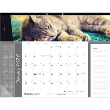 Rediform Brownline Furry Collection Cats Desk Pad