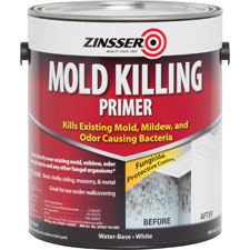 Rust-Oleum Zinsser Mold Killing Primer