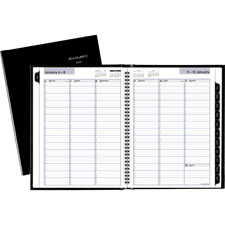 At-A-Glance Professional 2PPW Appointment Book