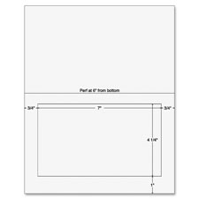 Sparco Integrated Label Forms